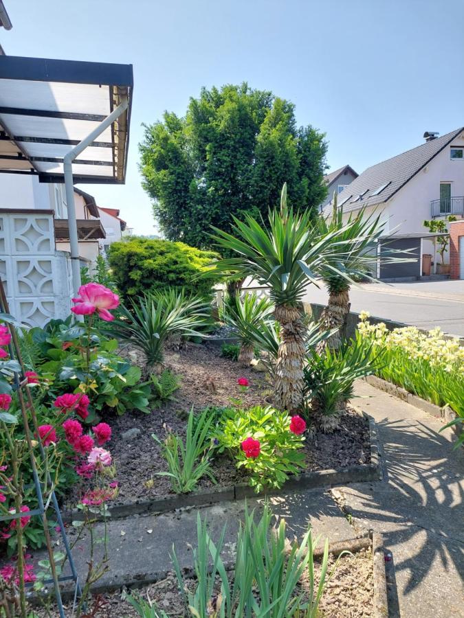 Urige Gemuetliche 64 M2 In Dielheim, Naehe Heidelberg Apartment *